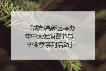 成都高新区举办年中大促消费节与毕业季系列活动