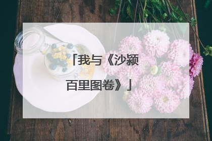 我与《沙颍百里图卷》