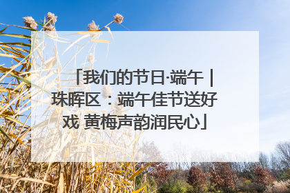我们的节日·端午｜珠晖区：端午佳节送好戏 黄梅声韵润民心