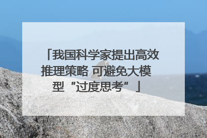 我国科学家提出高效推理策略 可避免大模型“过度思考”