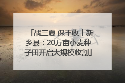 战三夏 保丰收丨新乡县：20万亩小麦种子田开启大规模收割