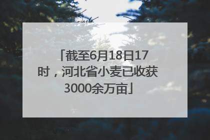 截至6月18日17时，河北省小麦已收获3000余万亩
