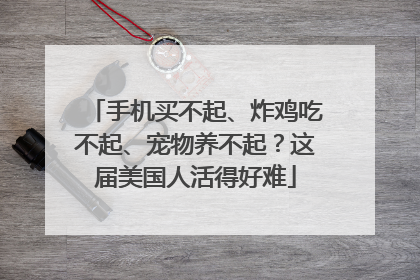 手机买不起、炸鸡吃不起、宠物养不起？这届美国人活得好难