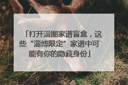 打开淄图家谱盲盒，这些“淄博限定”家谱中可能有你的隐藏身份