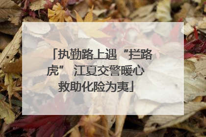 执勤路上遇“拦路虎” 江夏交警暖心救助化险为夷