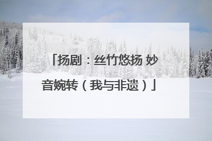 扬剧：丝竹悠扬 妙音婉转（我与非遗）
