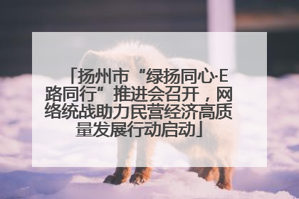 扬州市“绿扬同心·E路同行”推进会召开，网络统战助力民营经济高质量发展行动启动