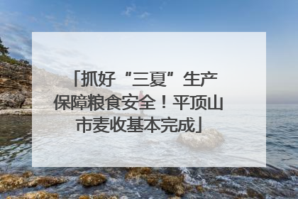 抓好“三夏”生产 保障粮食安全！平顶山市麦收基本完成