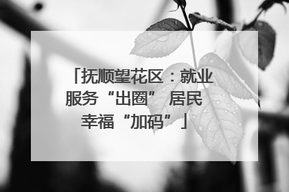 抚顺望花区：就业服务“出圈” 居民幸福“加码”