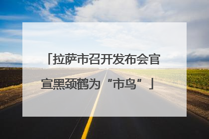 拉萨市召开发布会官宣黑颈鹤为“市鸟”