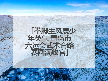 拳脚生风展少年英气 青岛市六运会武术套路赛圆满收官