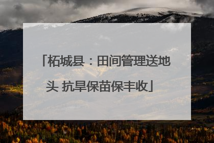 柘城县：田间管理送地头 抗旱保苗保丰收