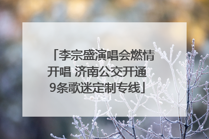 李宗盛演唱会燃情开唱 济南公交开通9条歌迷定制专线