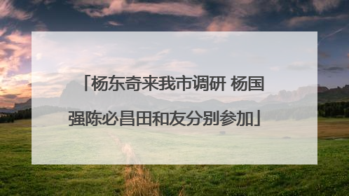 杨东奇来我市调研 杨国强陈必昌田和友分别参加