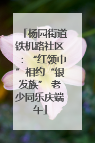 杨园街道铁机路社区：“红领巾”相约“银发族” 老少同乐庆端午