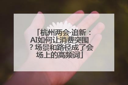 杭州两会·追新：AI如何让消费突围？场景和路径成了会场上的高频词