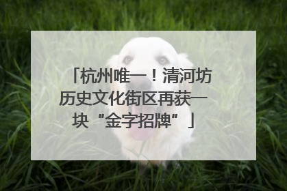 杭州唯一！清河坊历史文化街区再获一块“金字招牌”
