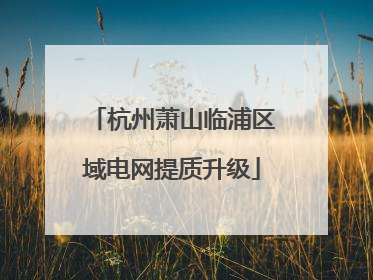 杭州萧山临浦区域电网提质升级