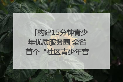 构建15分钟青少年优质服务圈 全省首个“社区青少年宫”落地成都成华区｜一老一小总关情