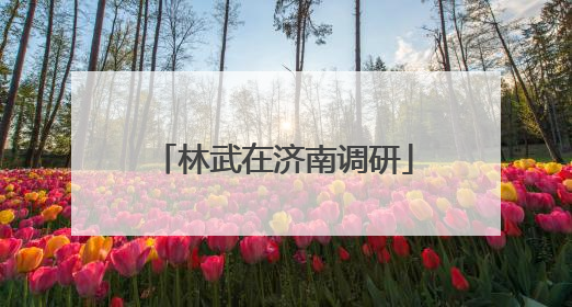 林武在济南调研