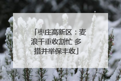 枣庄高新区：麦浪千重收割忙 多措并举保丰收