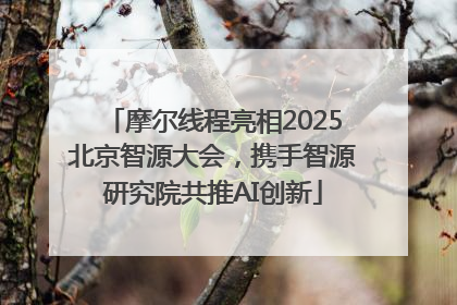 摩尔线程亮相2025北京智源大会，携手智源研究院共推AI创新