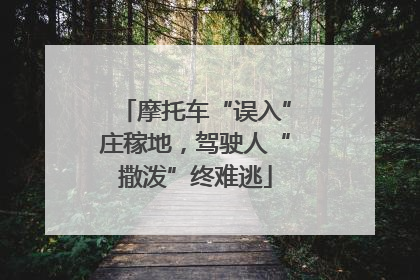摩托车“误入”庄稼地，驾驶人“撒泼”终难逃