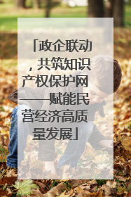 政企联动，共筑知识产权保护网——赋能民营经济高质量发展