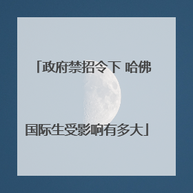政府禁招令下 哈佛国际生受影响有多大