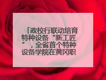 政校行联动培育特种设备“新工匠”，全省首个特种设备学院在黄冈职业技术学院成立