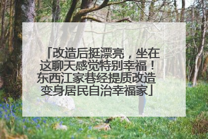 改造后挺漂亮，坐在这聊天感觉特别幸福！东西江家巷经提质改造变身居民自治幸福家