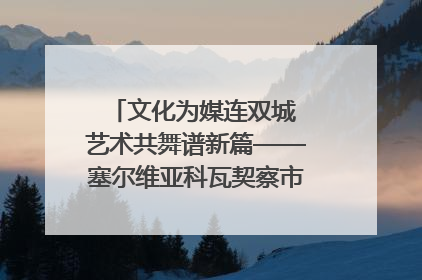 文化为媒连双城 艺术共舞谱新篇——塞尔维亚科瓦契察市代表团访问日照