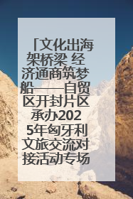 文化出海架桥梁 经济通商筑梦船——自贸区开封片区承办2025年匈牙利文旅交流对接活动专场