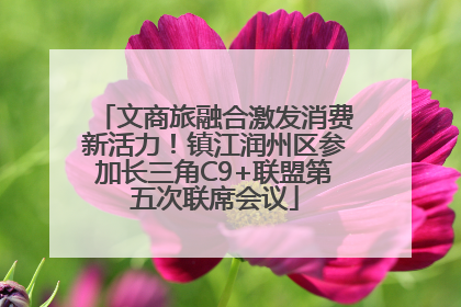 文商旅融合激发消费新活力！镇江润州区参加长三角C9+联盟第五次联席会议