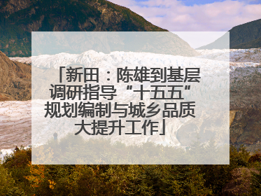 新田：陈雄到基层调研指导“十五五”规划编制与城乡品质大提升工作