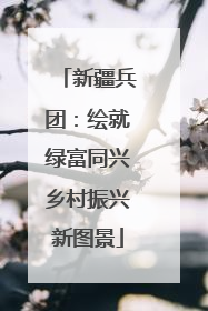 新疆兵团：绘就绿富同兴乡村振兴新图景