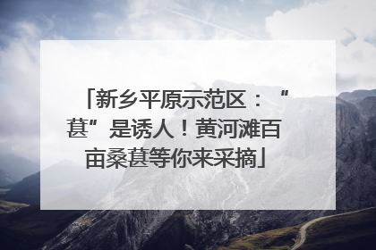 新乡平原示范区：“葚”是诱人！黄河滩百亩桑葚等你来采摘