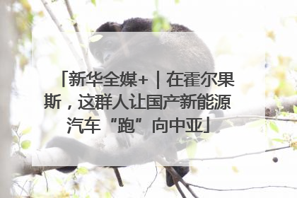 新华全媒+｜在霍尔果斯，这群人让国产新能源汽车“跑”向中亚