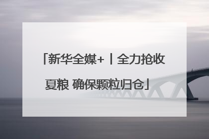 新华全媒+丨全力抢收夏粮 确保颗粒归仓