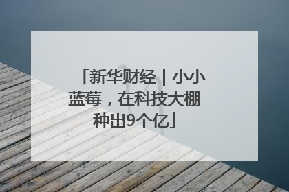 新华财经｜小小蓝莓，在科技大棚种出9个亿