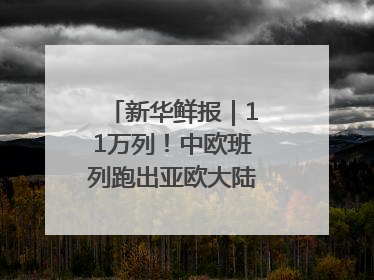 新华鲜报｜11万列！中欧班列跑出亚欧大陆“新时速”