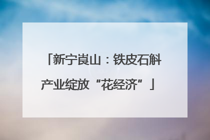 新宁崀山：铁皮石斛产业绽放“花经济”