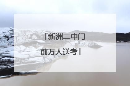 新洲二中门前万人送考