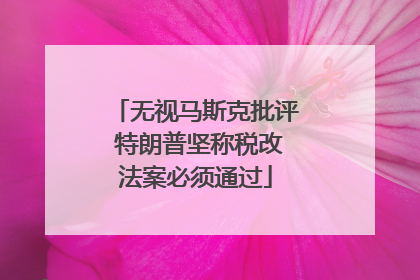 无视马斯克批评 特朗普坚称税改法案必须通过