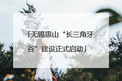 无锡惠山“长三角牙谷”建设正式启动