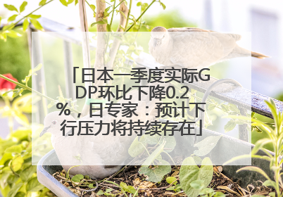 日本一季度实际GDP环比下降0.2%，日专家：预计下行压力将持续存在