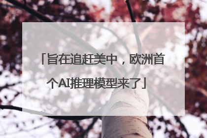 旨在追赶美中，欧洲首个AI推理模型来了