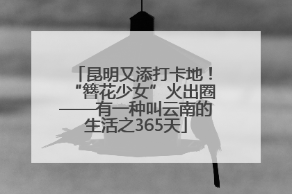 昆明又添打卡地！“簪花少女”火出圈——有一种叫云南的生活之365天