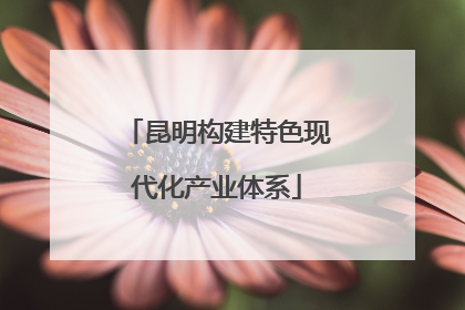昆明构建特色现代化产业体系