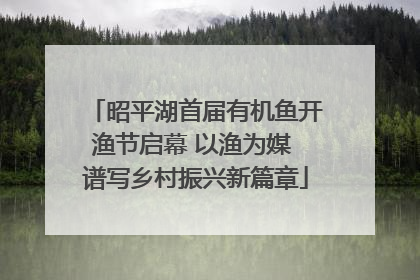昭平湖首届有机鱼开渔节启幕 以渔为媒 谱写乡村振兴新篇章